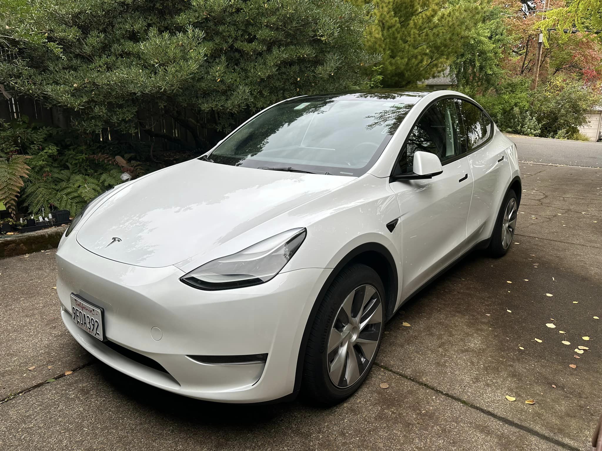 4 days with 2023 Tesla Model Y in Portland  MachEforum - Ford Mustang  Mach-E News, Owners, Discussions, Community