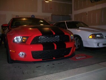 My other Mustangs