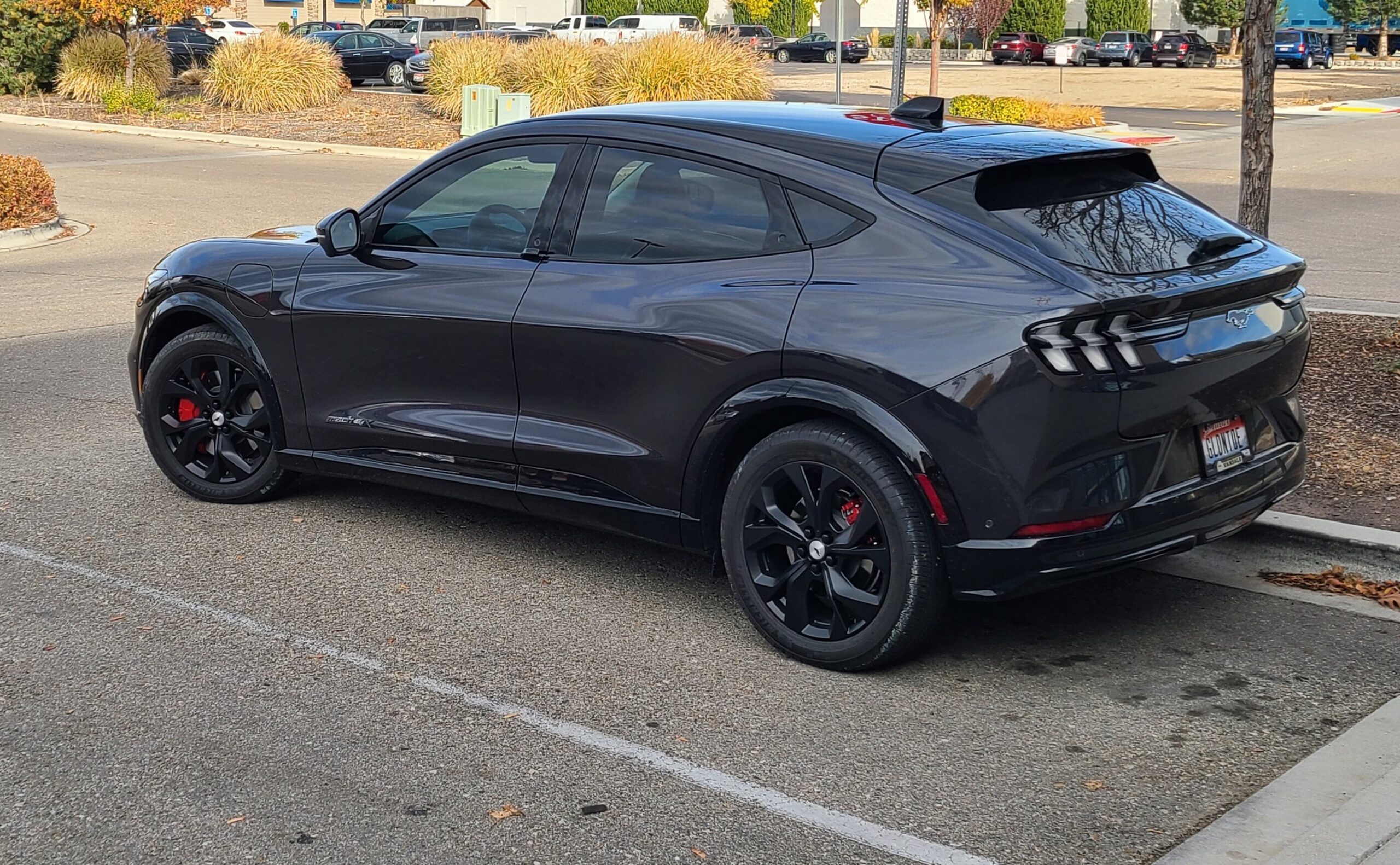 CA Rt1 Wheel covers: matte -> gloss(ish) black via Cerakote Trim Coat   MachEforum - Ford Mustang Mach-E News, Owners, Discussions, Community